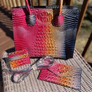 Multicolor ombré faux Crocodile Embossed Women's Bag Set